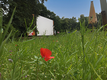 Freiluftkino Friedrichshain Mohn Leinwand